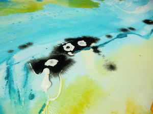 Bildausschnitt/ Cutout